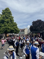 Dimanche_Grand cortège Grue'Zik 2025
