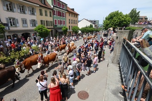Dimanche_Grand cortège Grue'Zik 2025