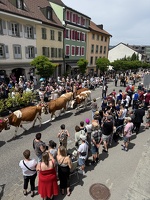 Dimanche_Grand cortège Grue'Zik 2025